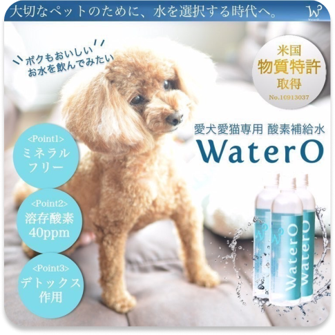 定期コース