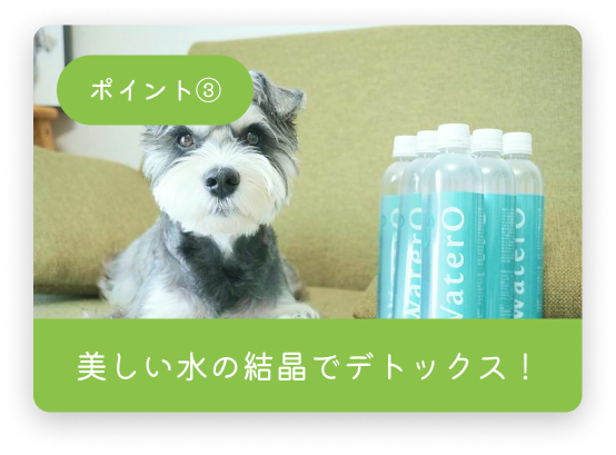スライド3