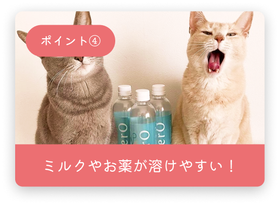 スライド4