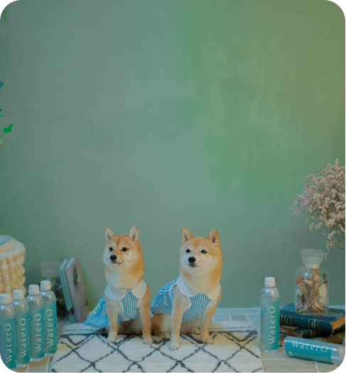 背景画像